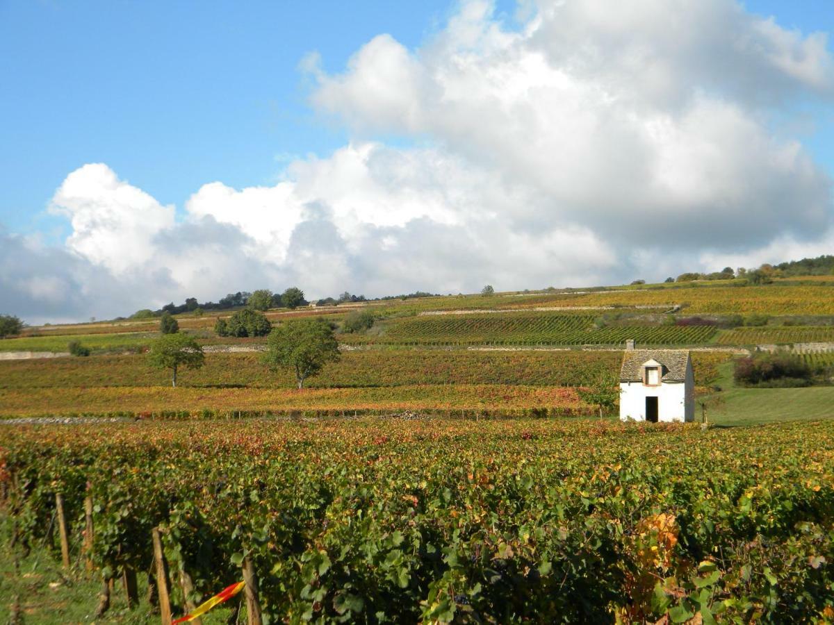 Le Jardin Des Chanceliers Beaune  Exterior foto